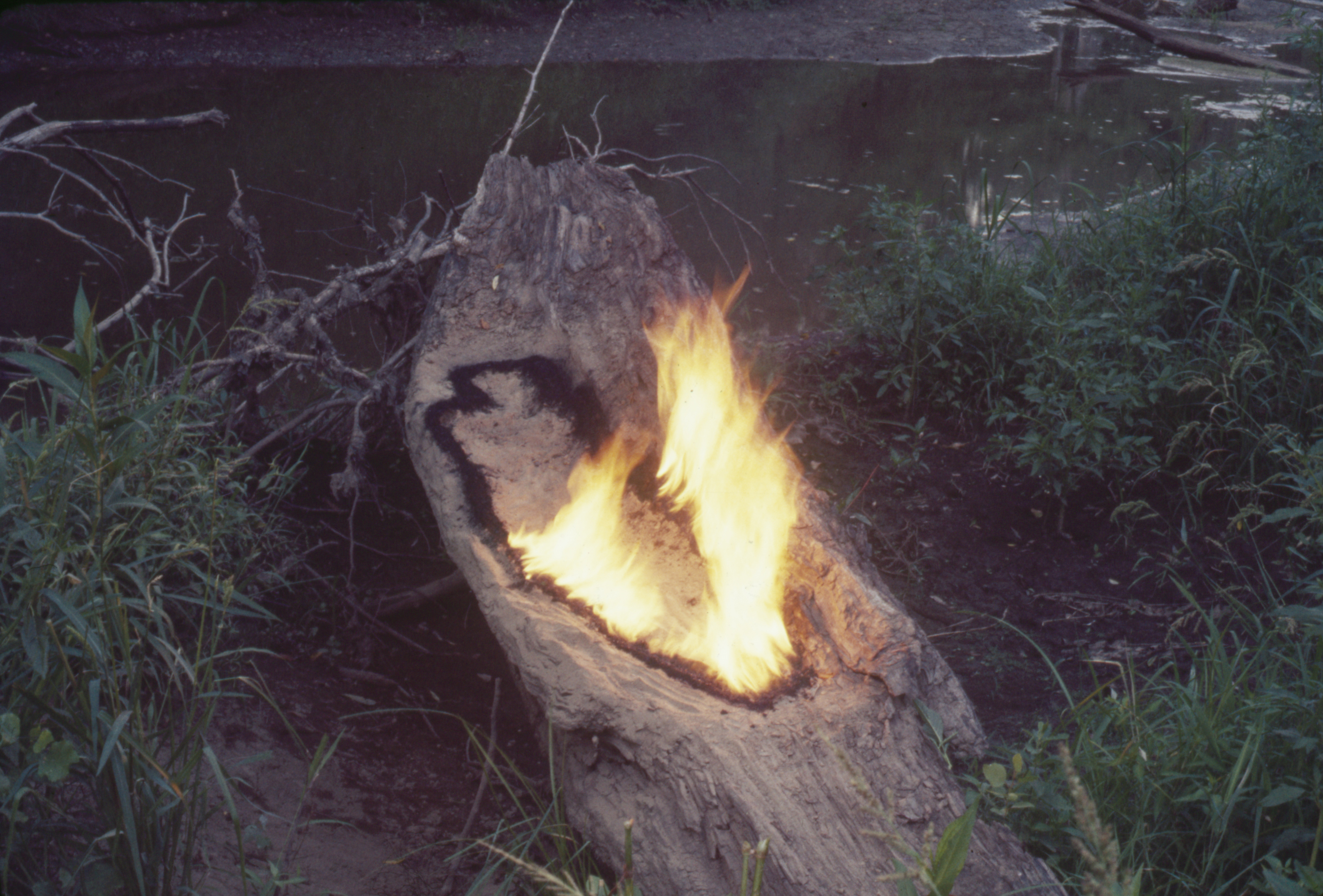 Ana Mendieta, Untitled 1977. © The Estate Of Ana Mendieta Collection, LLC. Licensed By DACS